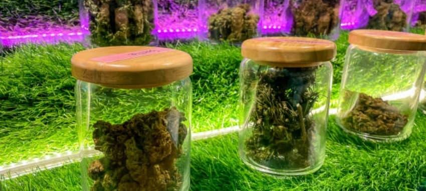 1 Liter Liquid E-Zigarette Test Tipps für das perfekte Liquid 1 Liter Liquid E-Zigarette Erfahrungen und Kaufberatung